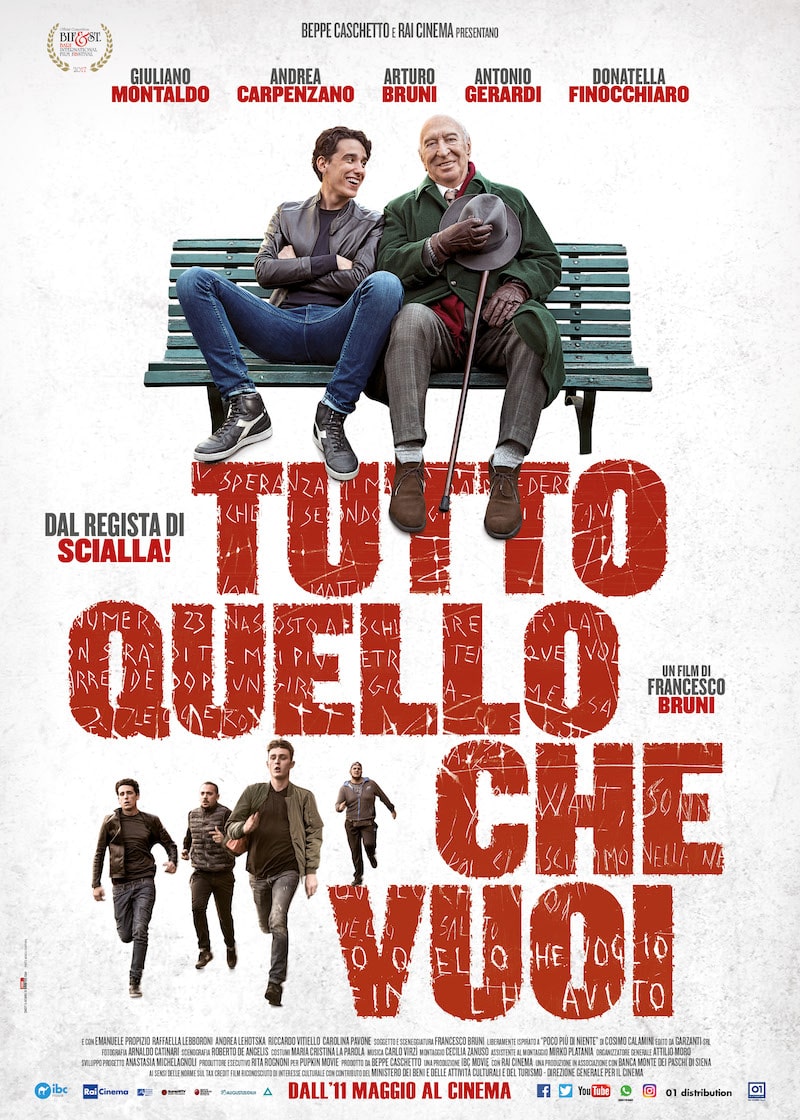 VTUTTO QUELLO CHE VUOI | Friends by Chance [2017]